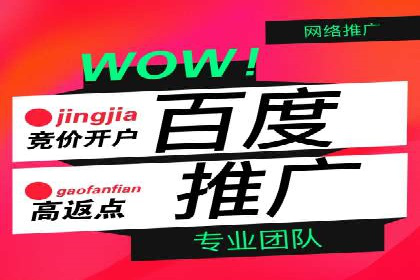 百度平台推广：成功案例解析与效果分析